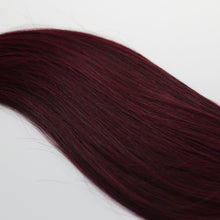 Load image into Gallery viewer, CLIP IN | FEISTY