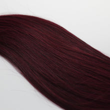 Load image into Gallery viewer, FUSION | FEISTY