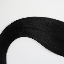 Load image into Gallery viewer, CLIP IN | STALLION