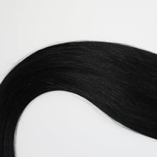 Load image into Gallery viewer, WEFT | STALLION