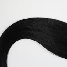 Load image into Gallery viewer, HALO | STALLION