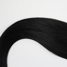 Load image into Gallery viewer, FUSION | STALLION