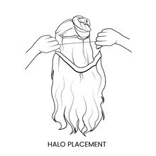 Load image into Gallery viewer, HALO | FIERCE
